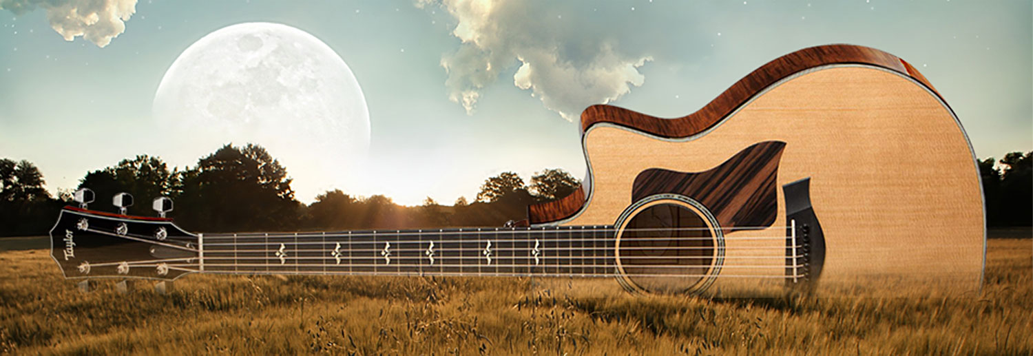 Guitar in a wheat field with a full moon rising